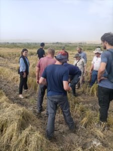 Международное сотрудничество