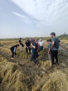 Международное сотрудничество