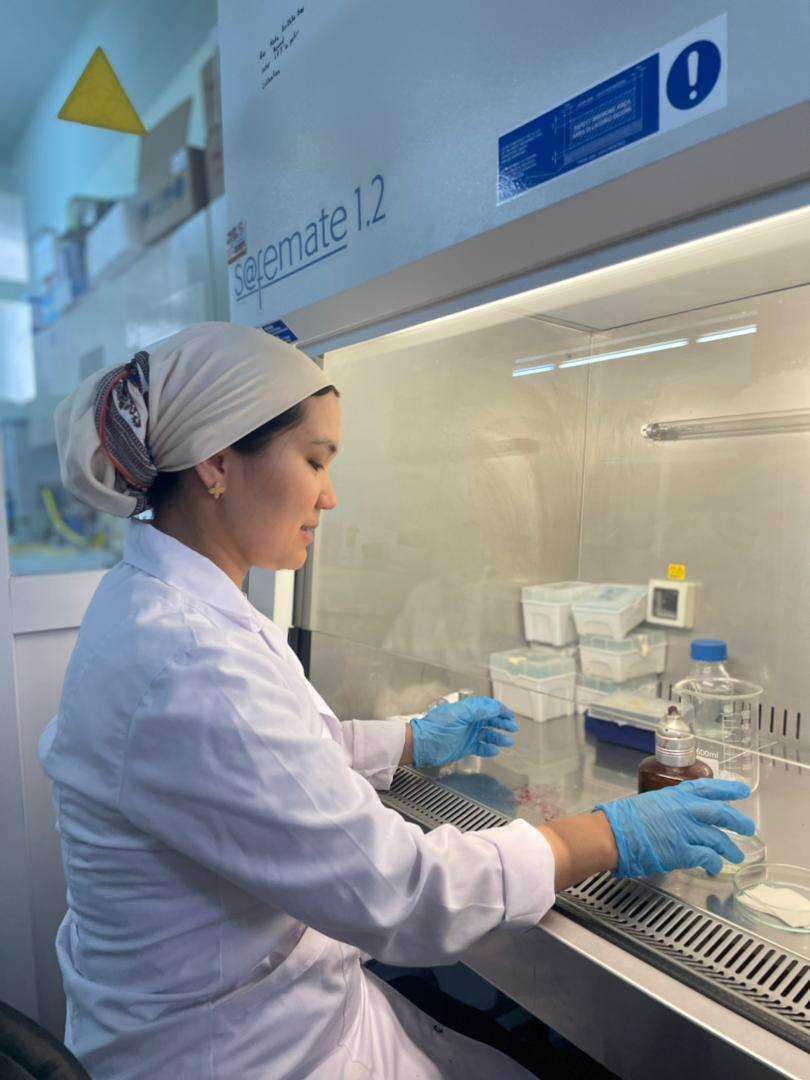 520200 – Биология программасынын PhD-докторанты Түркия мамлекетинде илимий стажировкада